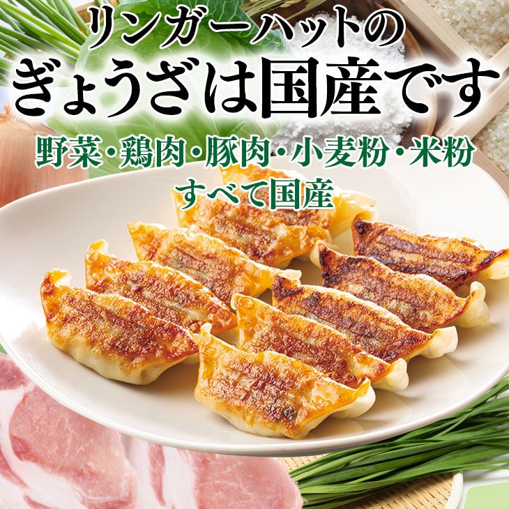 チャーハン400g×4袋＆ぎょうざ12個入×4パック
