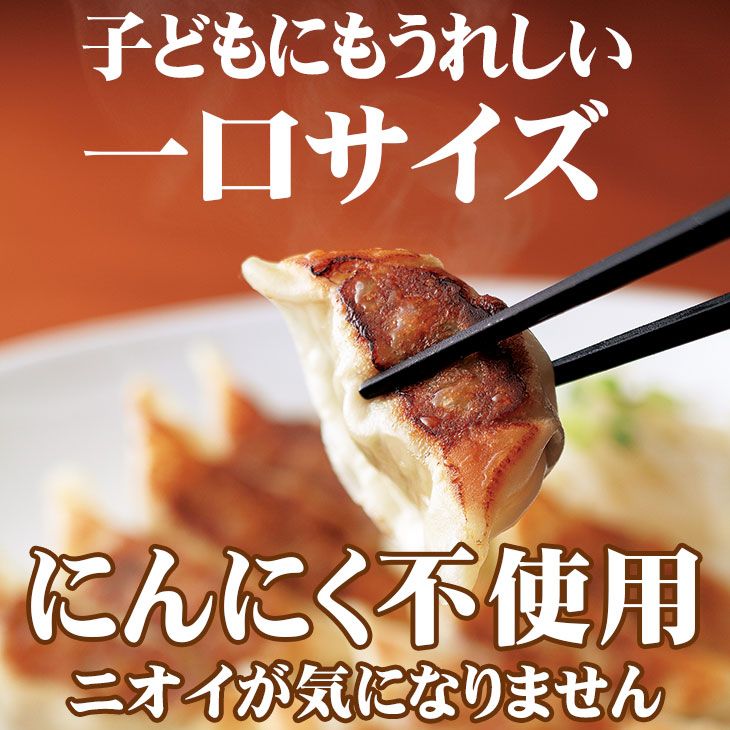 チャーハン400g×4袋＆ぎょうざ12個入×4パック