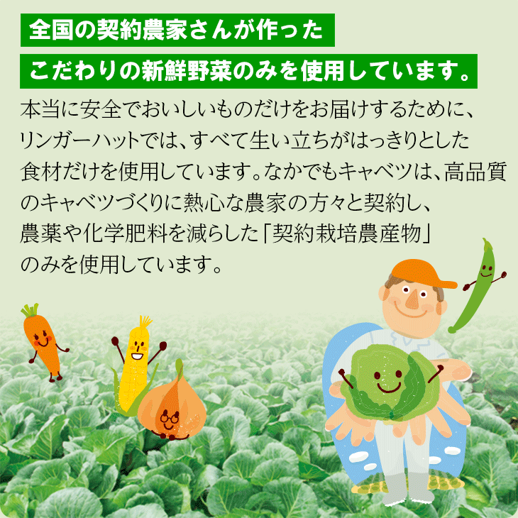 野菜たっぷりちゃんぽん6食セット